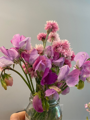 Sweet Pea Bunch - Spring Pastels