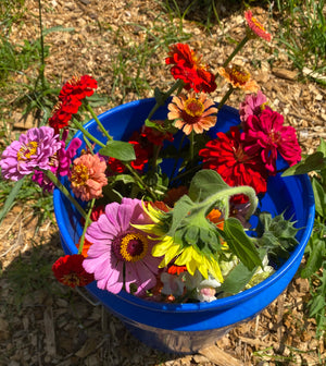 Bulk Buckets of Flowers