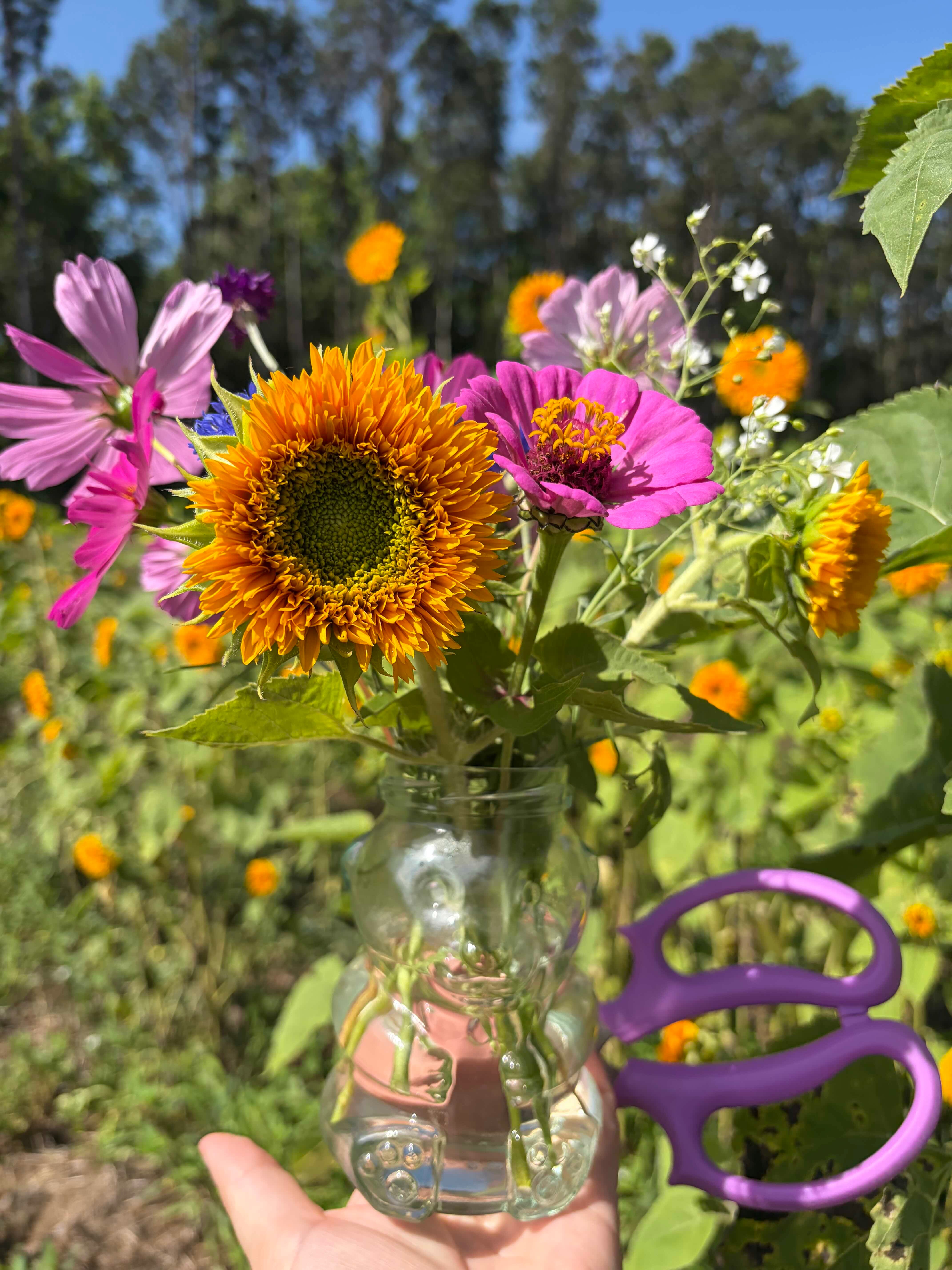 U-Pick Flowers Ticket - You Pick Flowers Charleston, SC – Good
