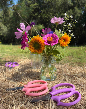 U-Pick Flowers Ticket - You Pick Flowers Charleston, SC – Good